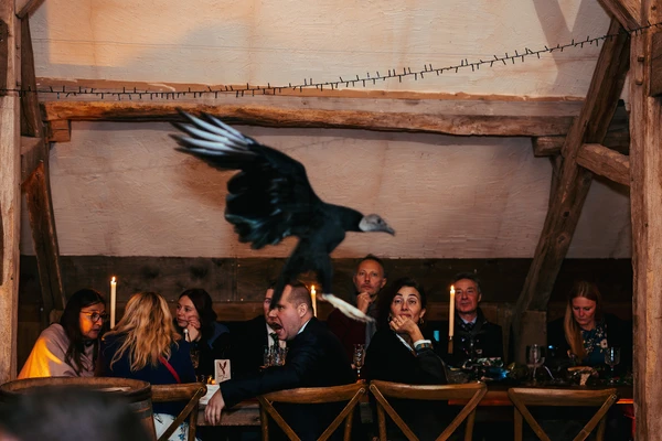 spectacle de fauconnerie pour un mariage à thème médiéval fantastique