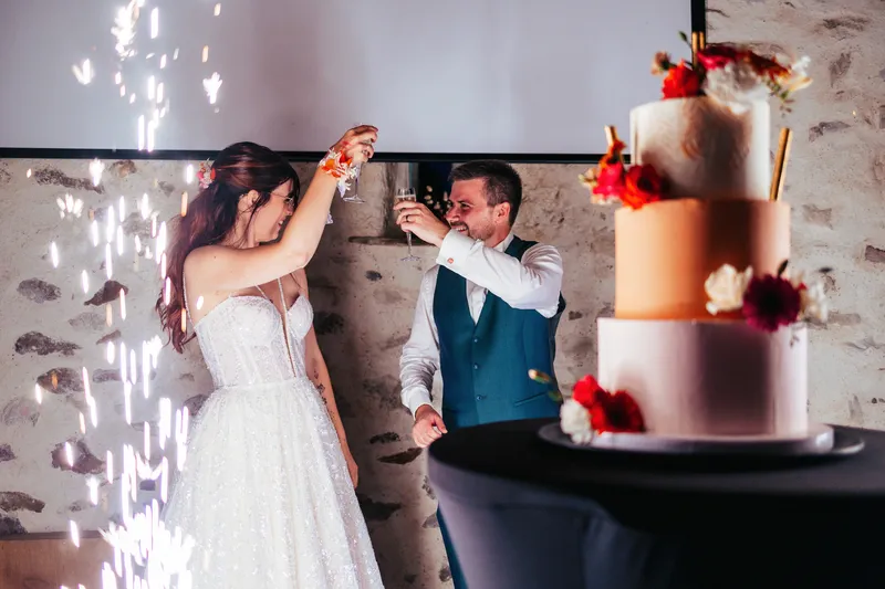 gateau mariage domaine plessis chivre